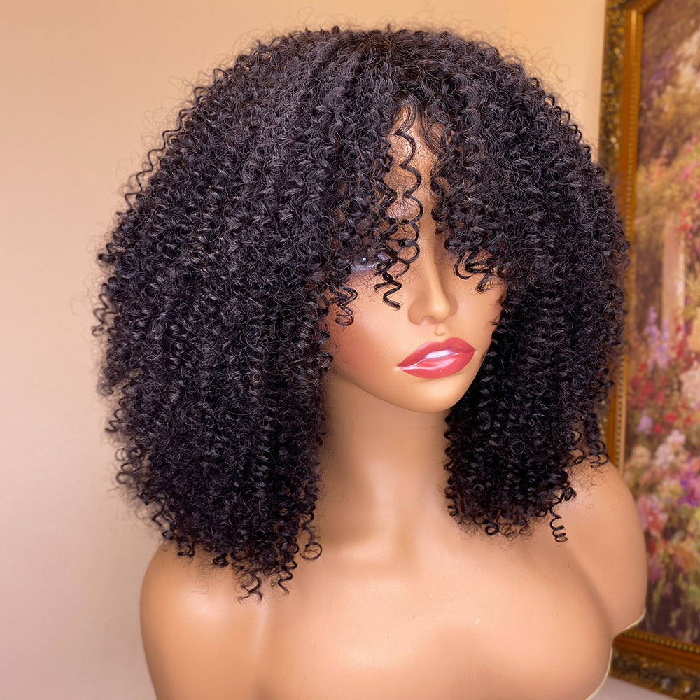 Artistic Kinky Human Hair Wigs Picture Concept Artistic Kinky Human Hair Wigs Picture Concept
